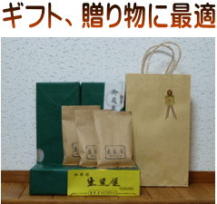 �������M�t�g�ʐ^